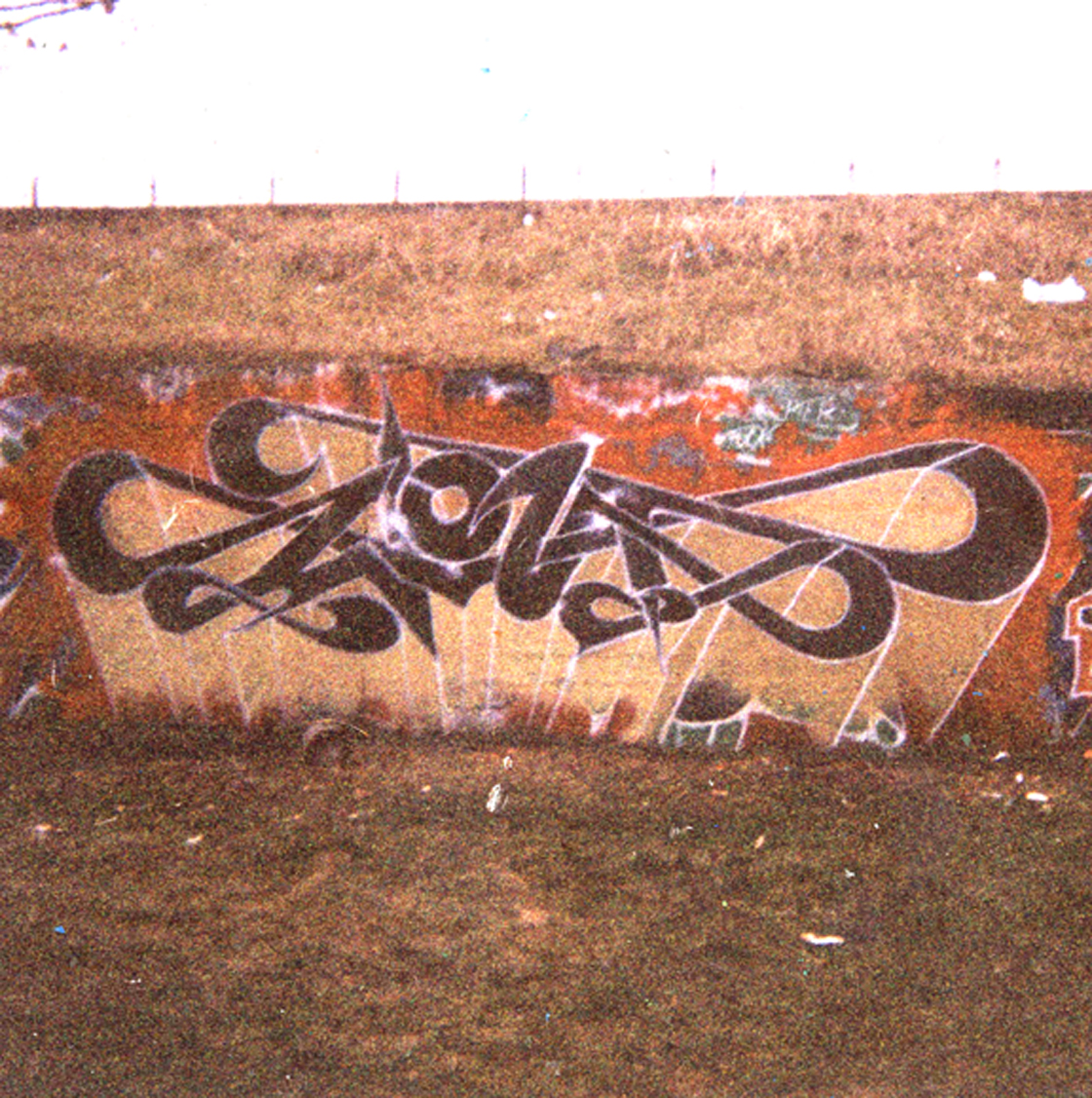 WOLT  PARCO SPINO VIMODRONE 02